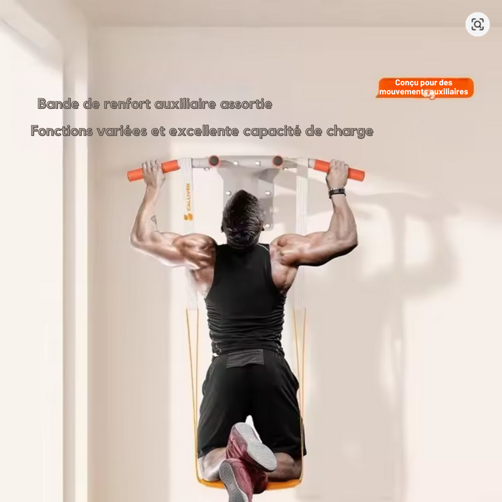 Barre de traction murale
